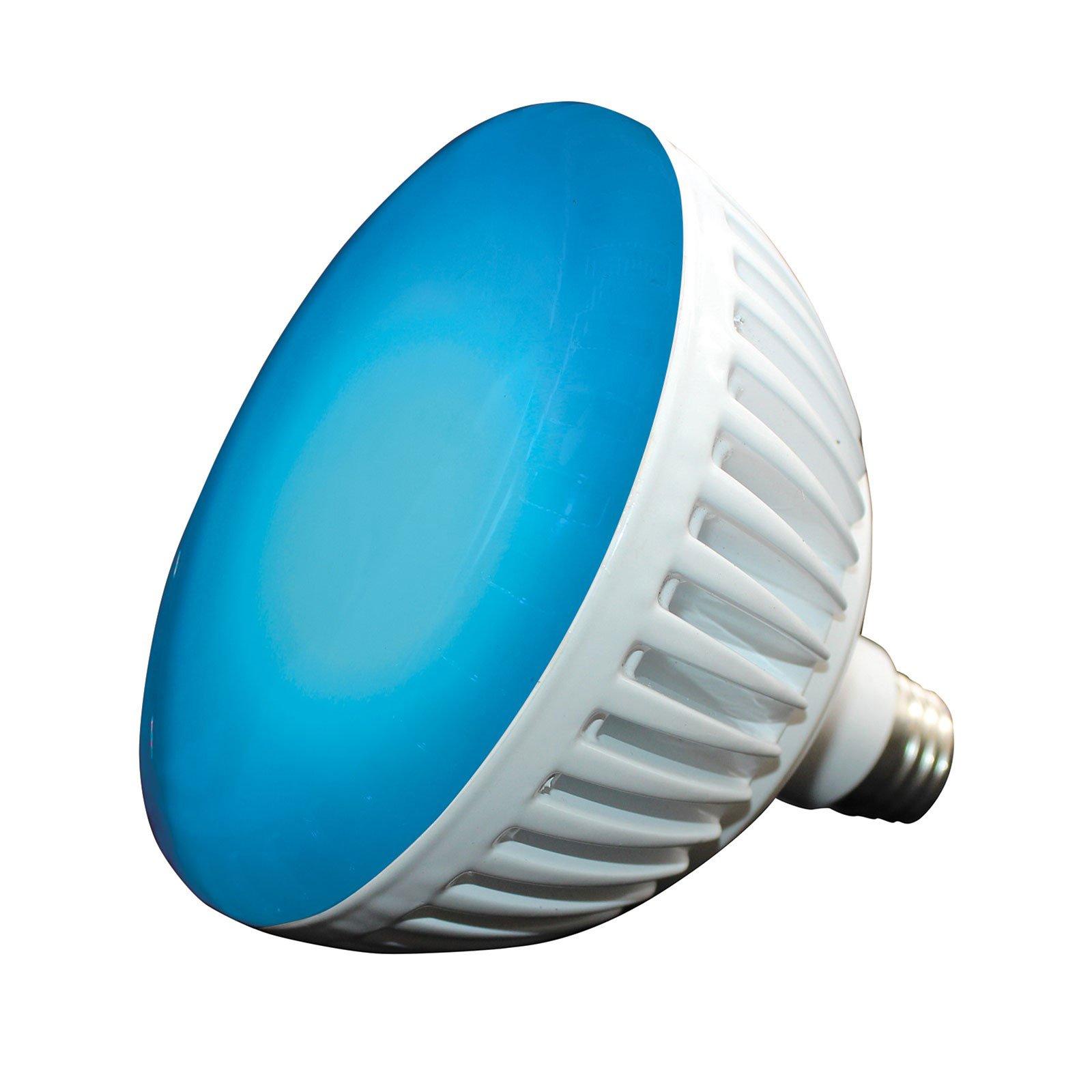 J&J Electronics - 120V, 32W ColorSplash Color Changing and White LED Pool Lamp