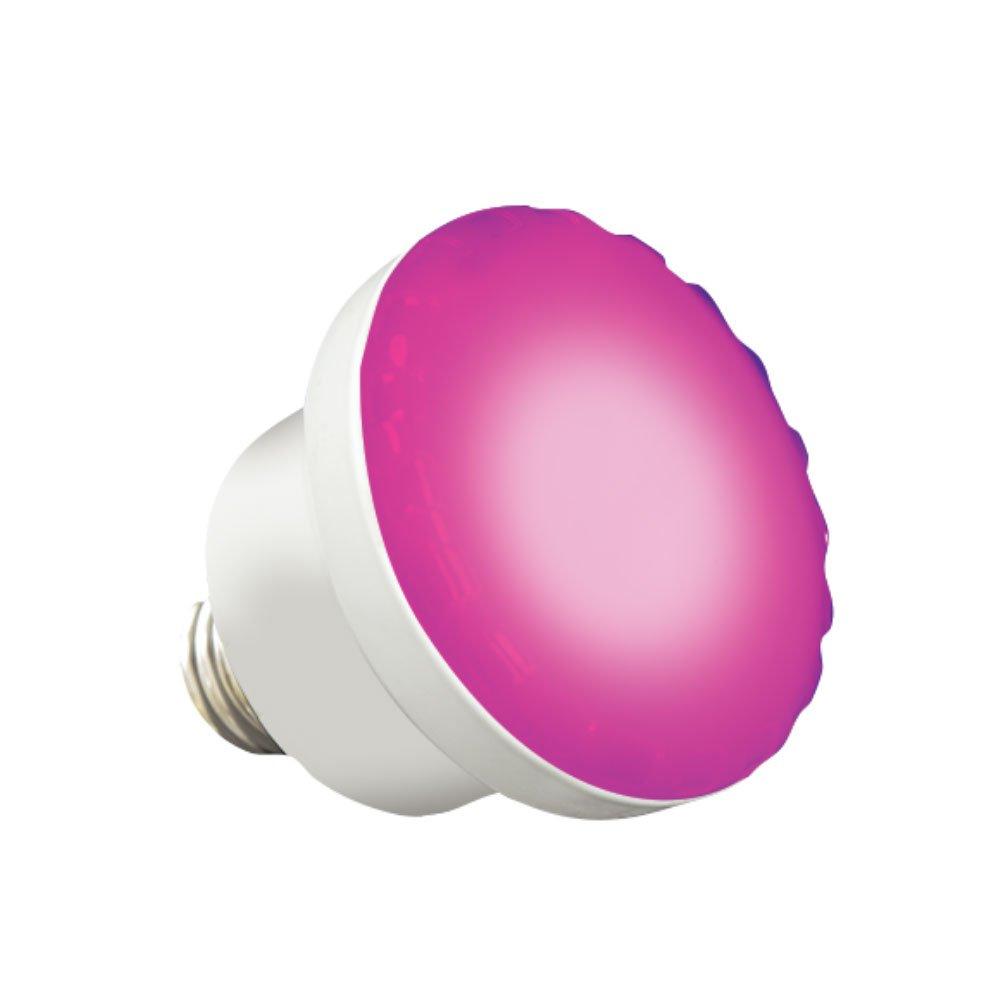 J&J Electronics - 120V, 6W ColorSplash Color Changing and White LED Spa Lamp
