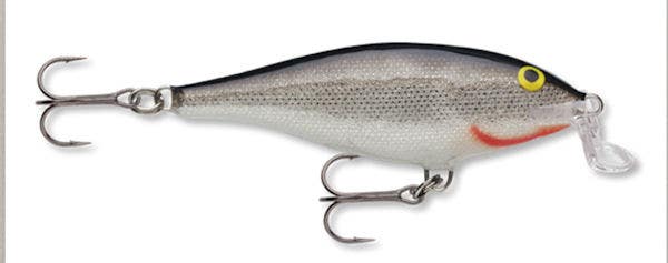 Rapala Shallow Shad Rap 07