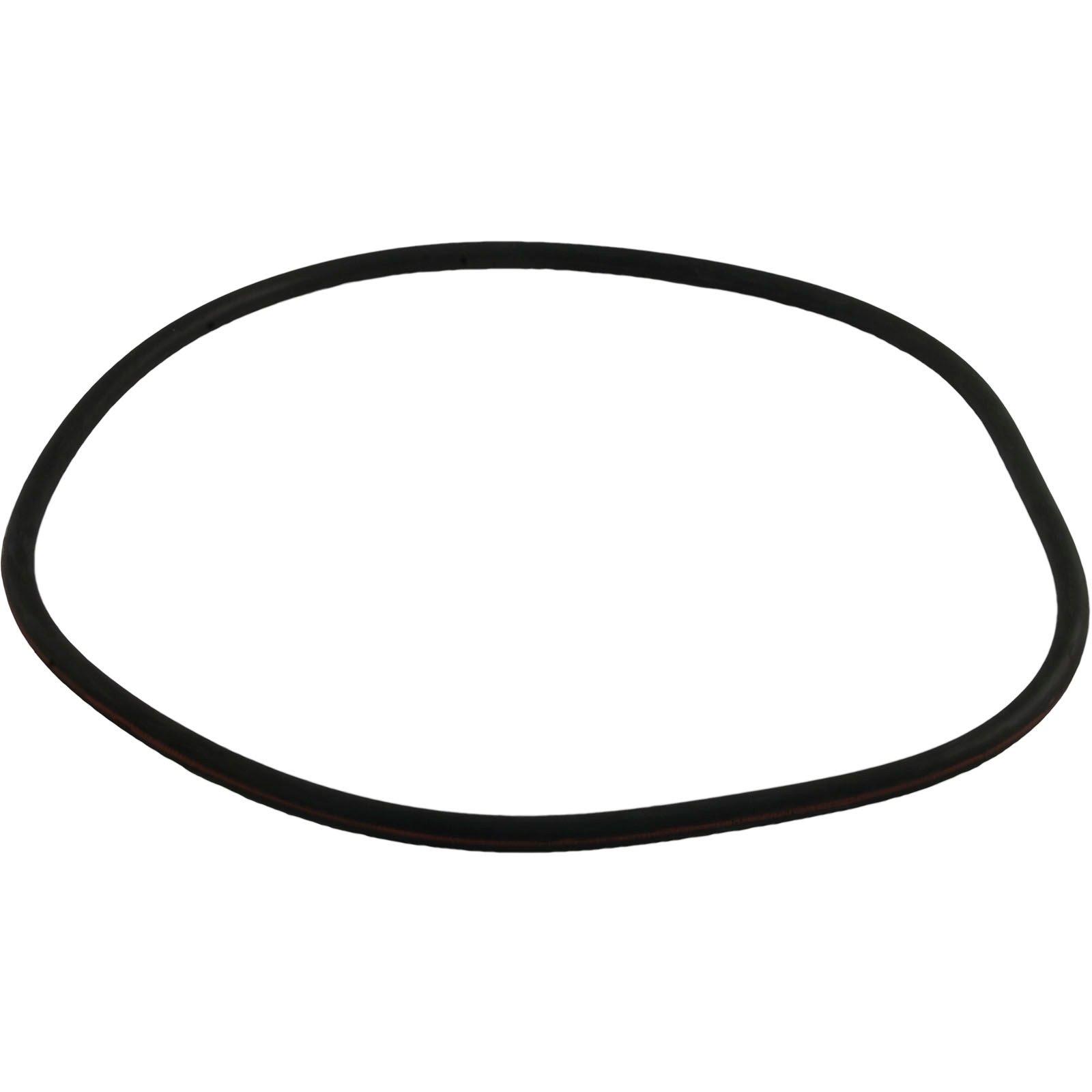 All Seals - Replacement Filter Tank O-Ring for Purex CFW/2000, 18" Tank Body