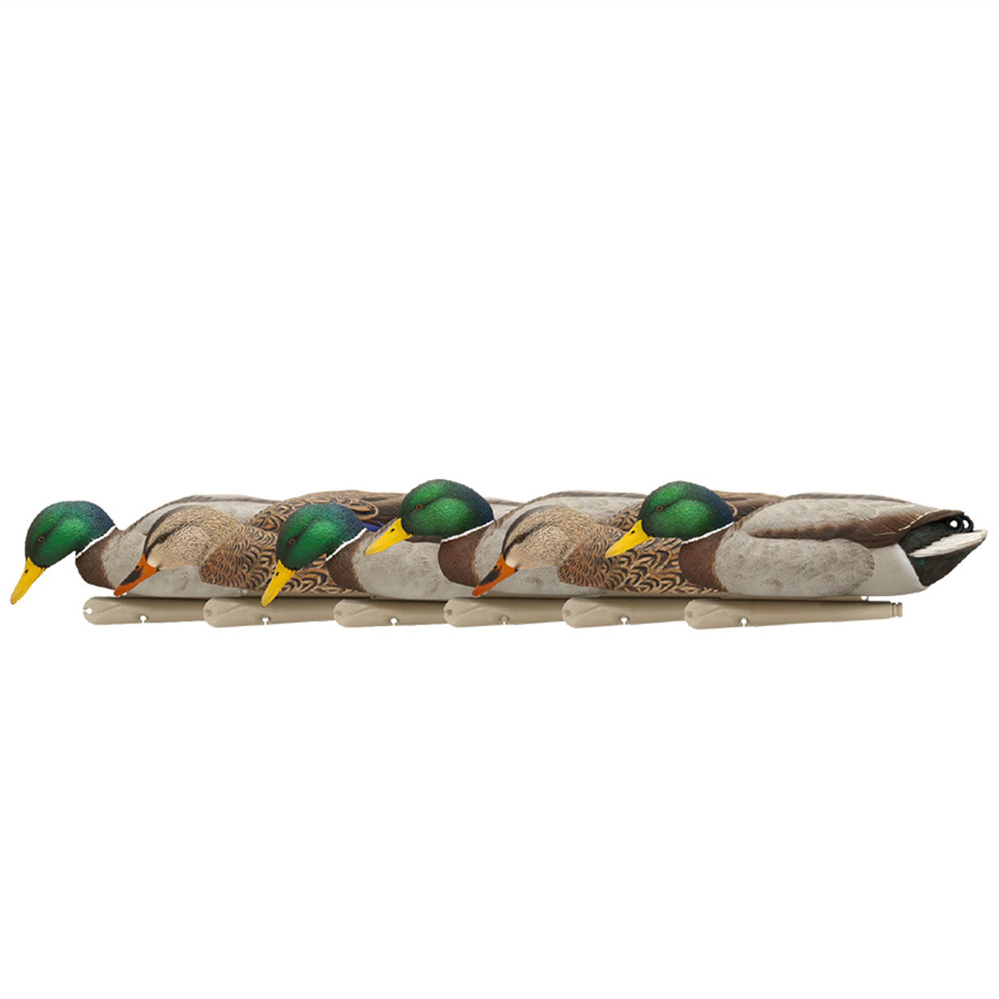 Avian X Topflight Backwater Mallards Decoys, Realistic Floating, 6pk (Open Box)