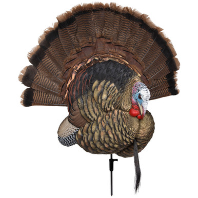 Avian-X Trophy Tom Turkey Decoy