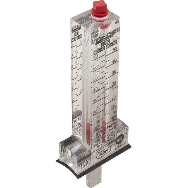 Blue-White - F-30200P Flowmeter, 2in. , F-300, 20-120 GPM