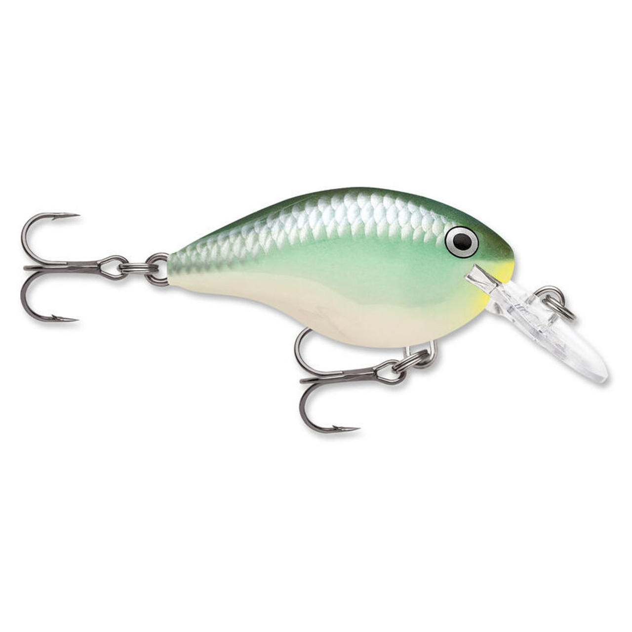 Rapala DT (Dives-To) Series Lure