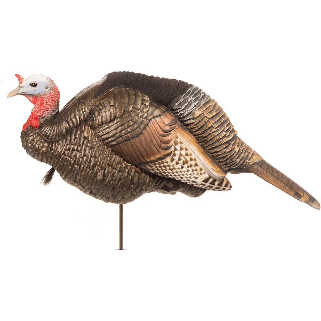 Dave Smith 3-4 Strut Jake Decoy