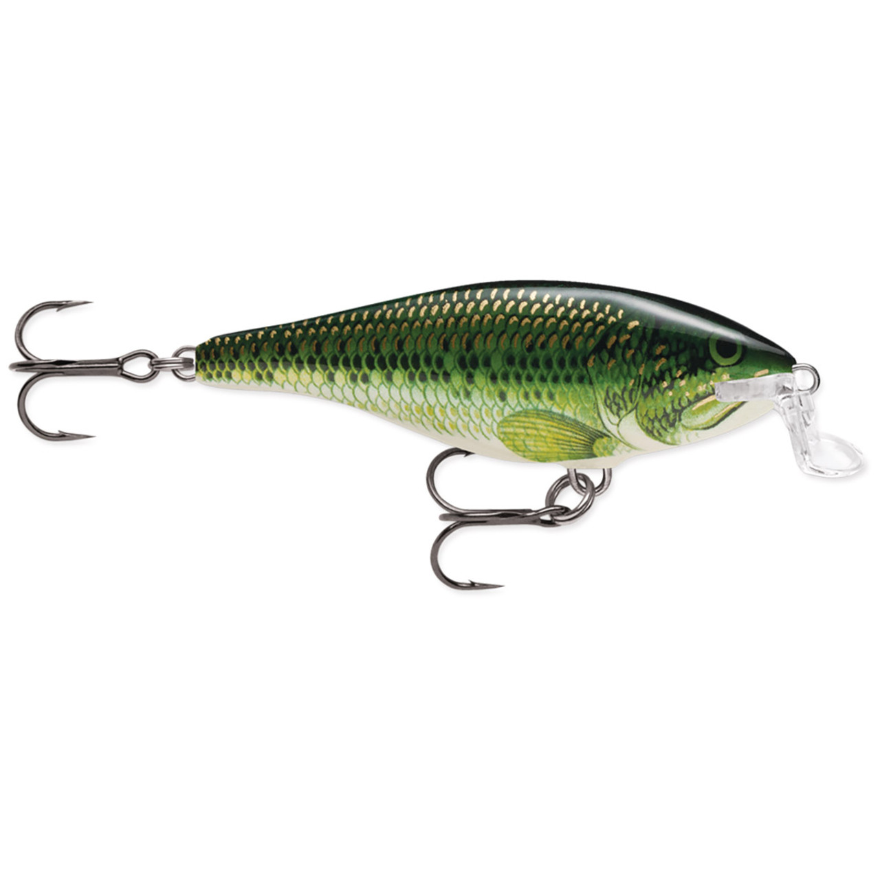 Rapala Shallow Shad Rap Lure