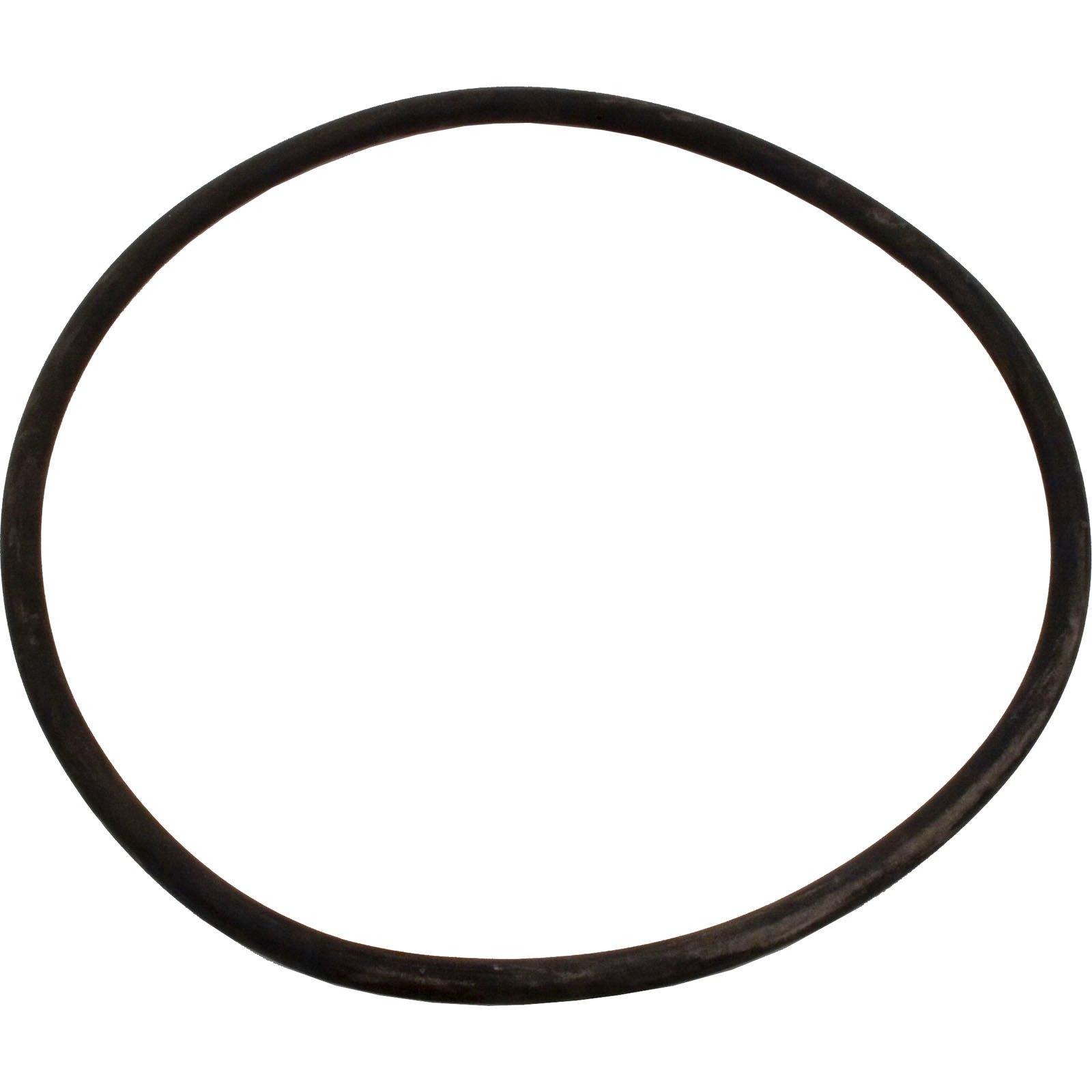 All Seals - Replacement 11" Tank Body O-Ring for Pentair Pac Fab Mitra