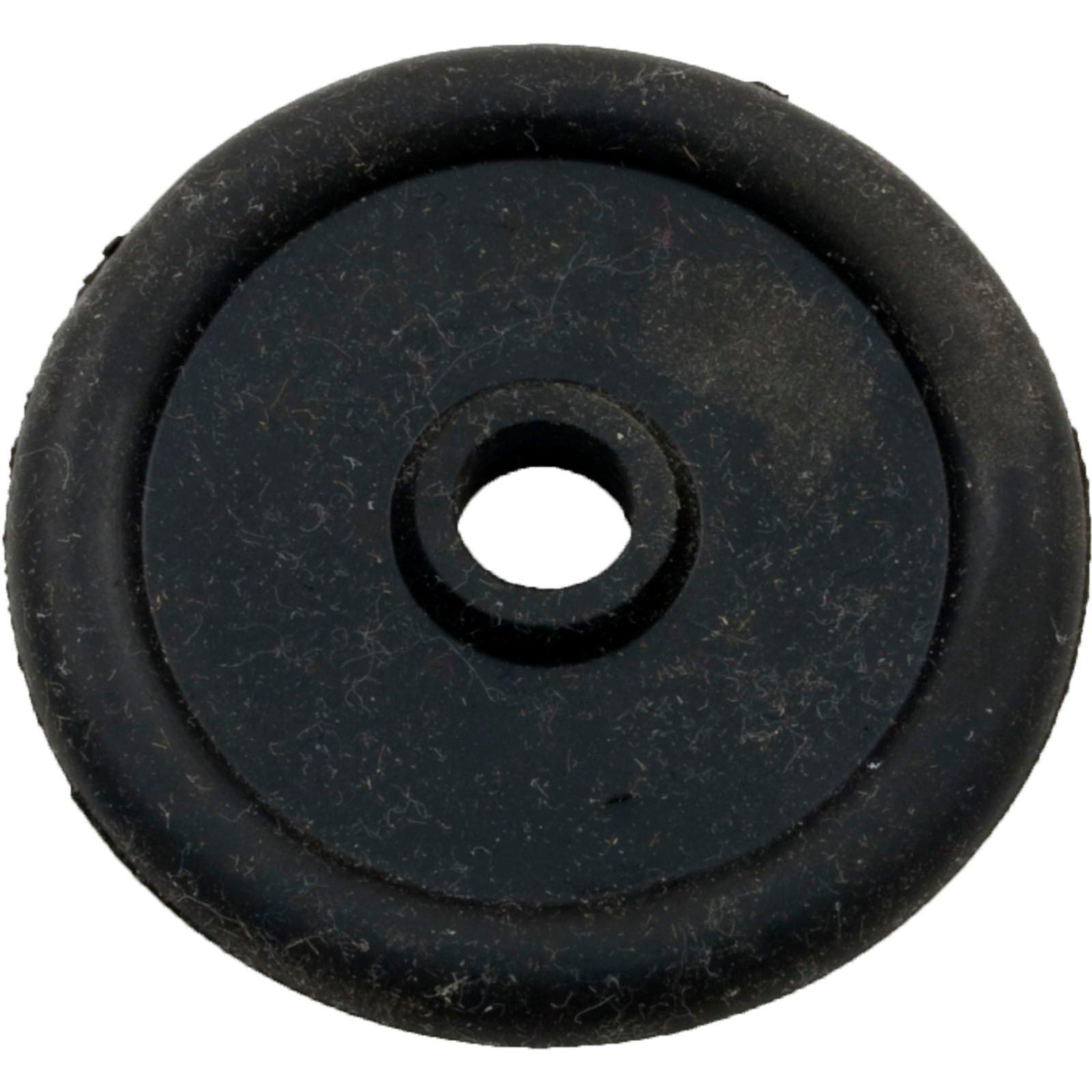 All Seals - Replacement Backwash Valve Piston Gasket, 2 in.