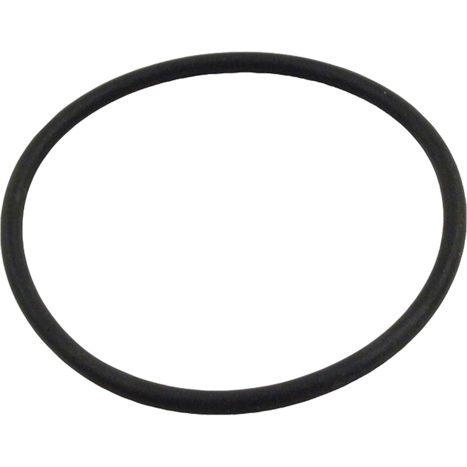All Seals - Replacement Pump Lid O-Ring for Aqua Flo A Series