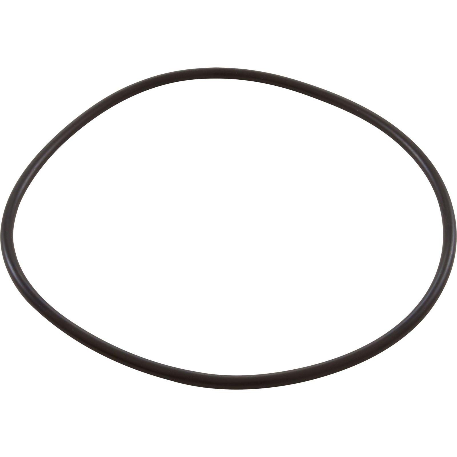 All Seals - Replacement Dome Lid O-Ring for Hayward S200/S240