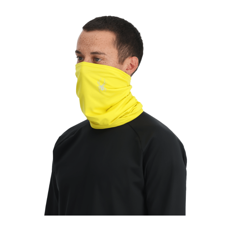 Spyder M Cruise Tube