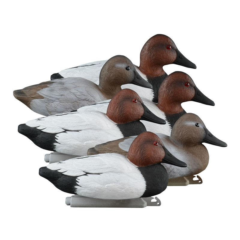 Higdon Standard Canvasback Foam Filled Decoys 6 Pack