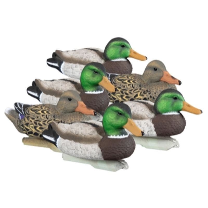 Higdon Standard Mallard 6-Pack