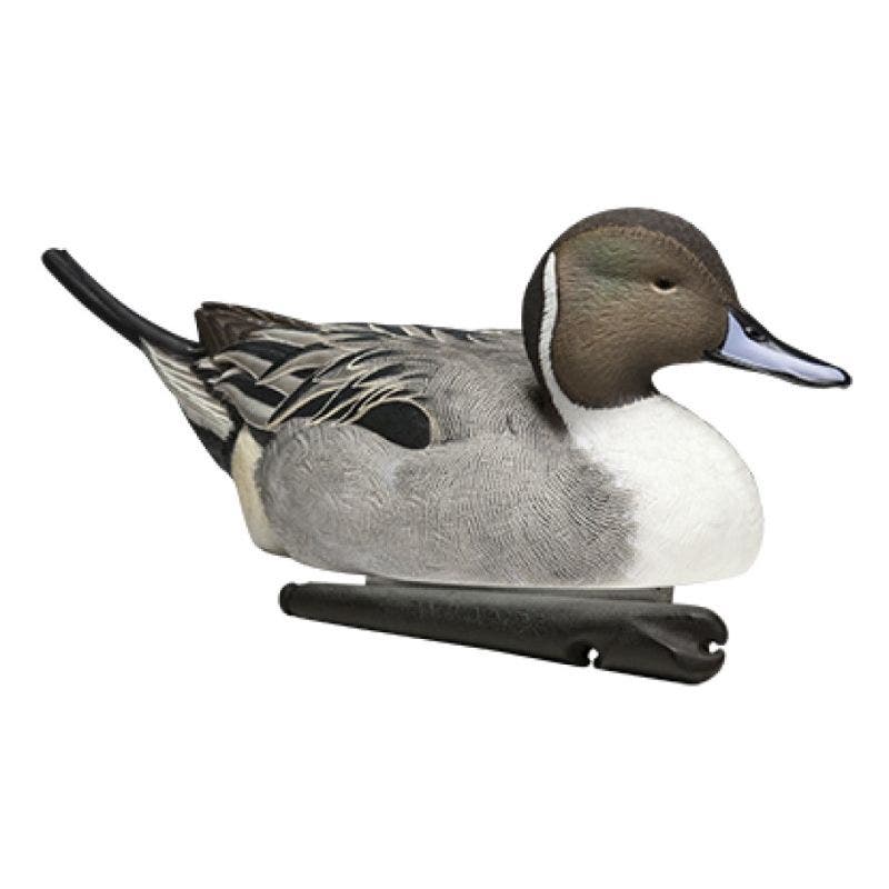 Avian-X Topflight Pintails