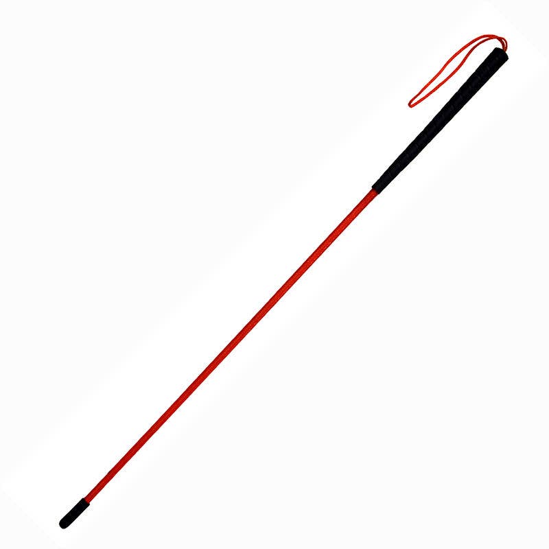 Avery Trainer's Heeling Stick