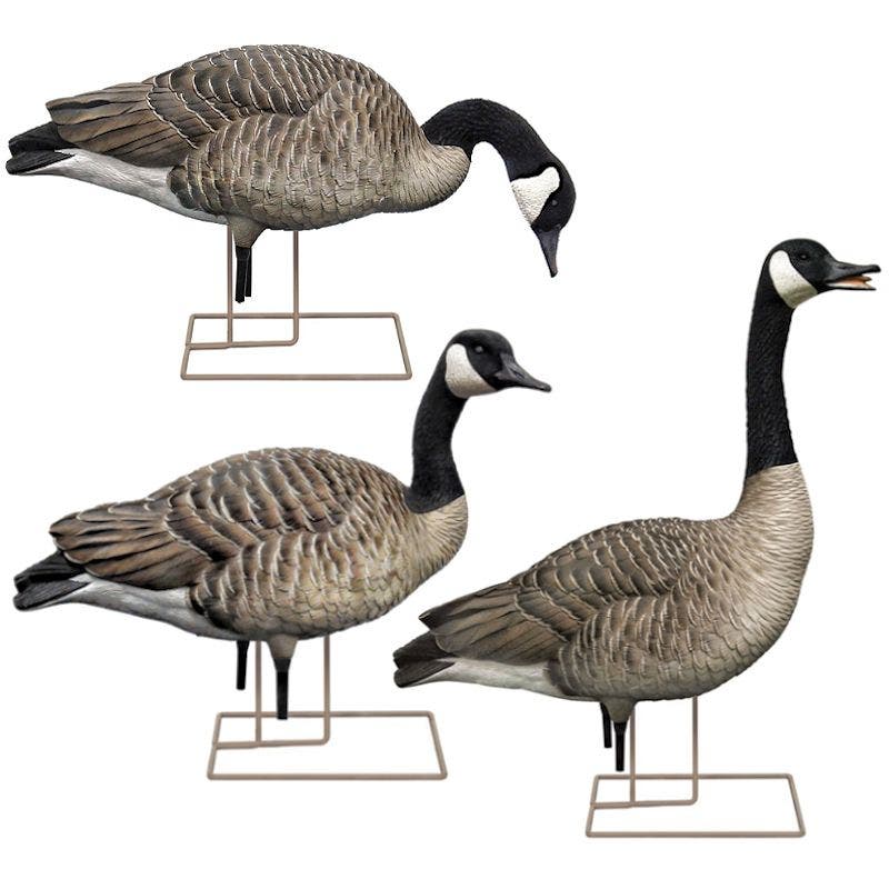 Avian-X AXP Fusion Honker Goose Decoys