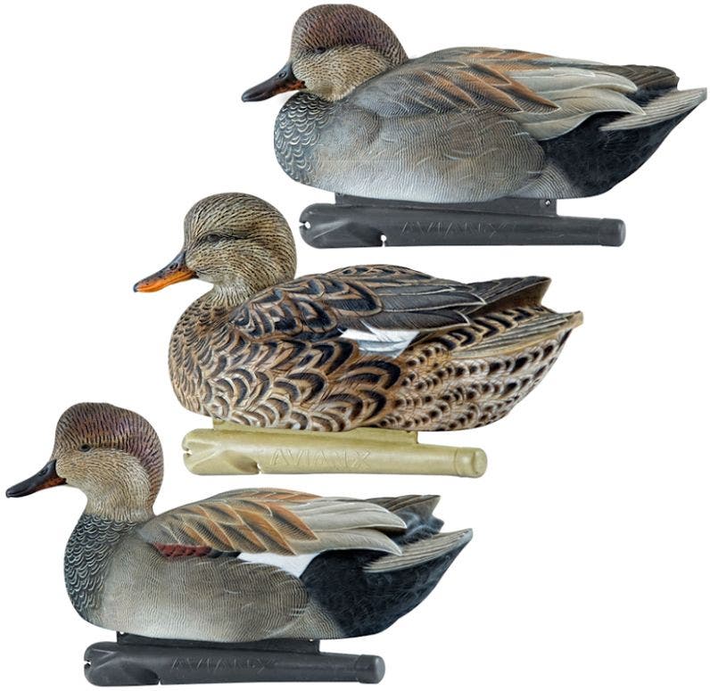 Avian-X Topflight Gadwall Duck Decoys