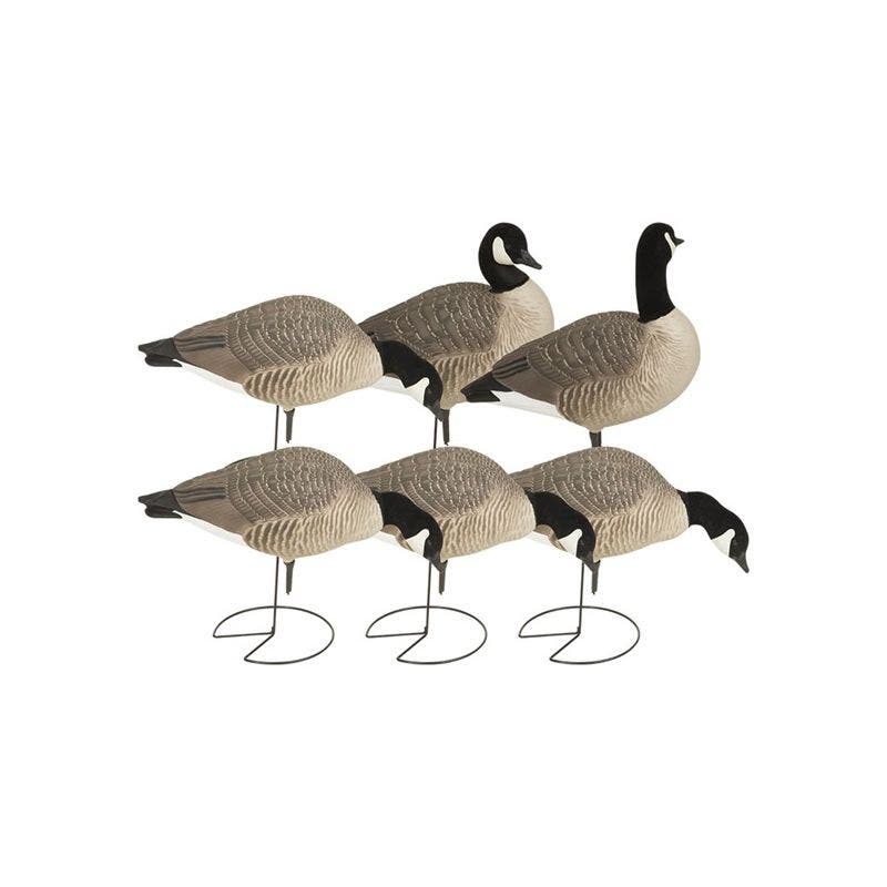 Greenhead Gear Hunter Series Canada Harvester Decoy 6 Pack
