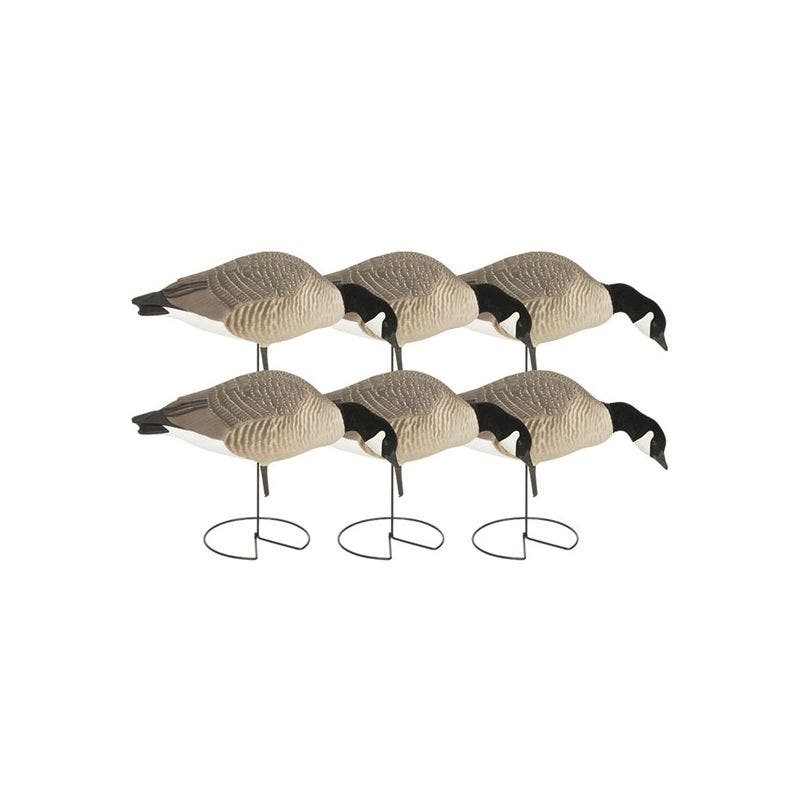 Greenhead Gear Hunter Series Canada Feeder Decoy 6 Pack