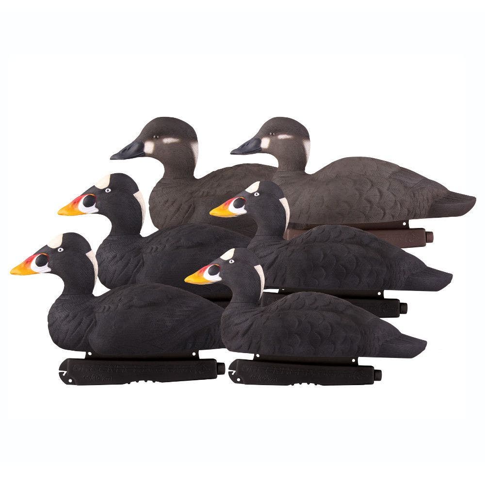 Avery Commercial Grade Surf Scoters