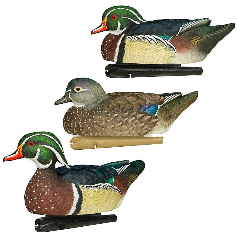 Avian-X Topflight Wood Duck Decoys