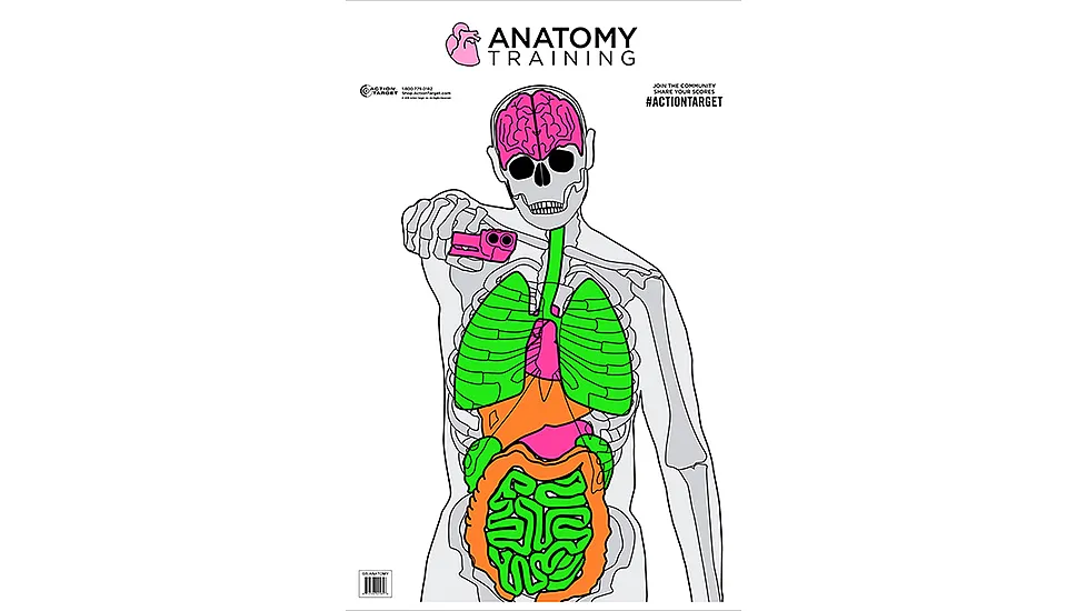 Action Target Anatomy Training Target