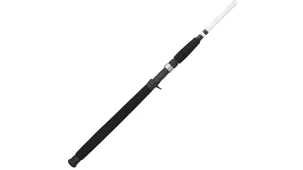 Berkley Big Game Casting Rod