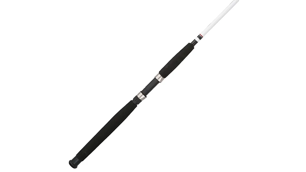 Berkley Big Game Spinning Rod