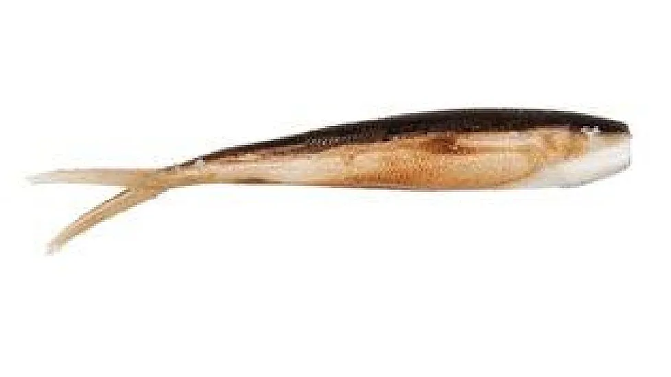 Berkley Gulp! Saltwater Baitfish Soft Bait