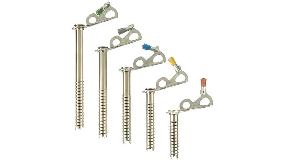 Black Diamond Express Ice screws