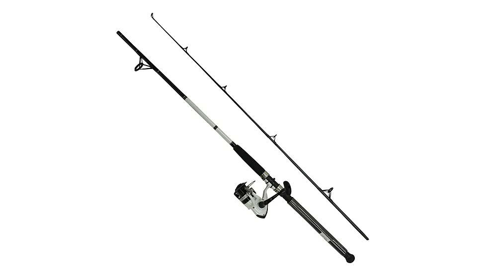 Daiwa D-Wave Saltwater Rod and Reel Combo - 1BB