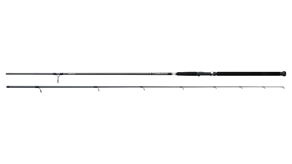 Daiwa Emcast Surf Casting Rod