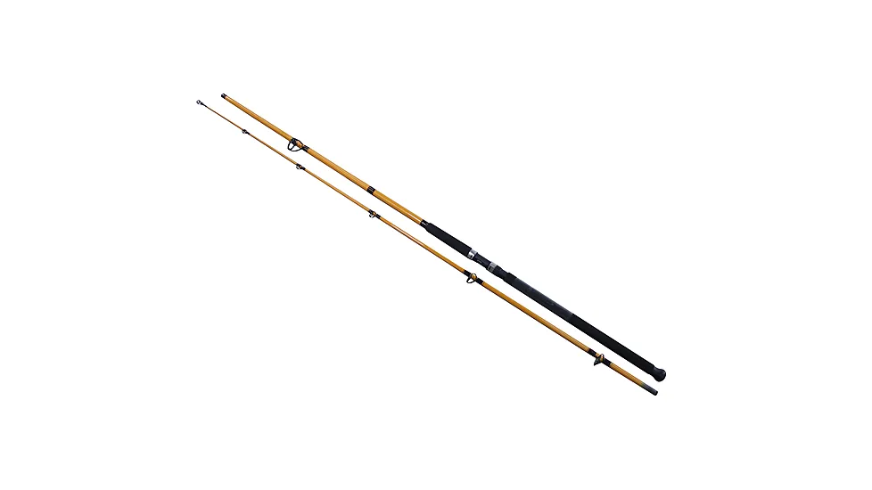 Daiwa FT Surf Spinning Rod