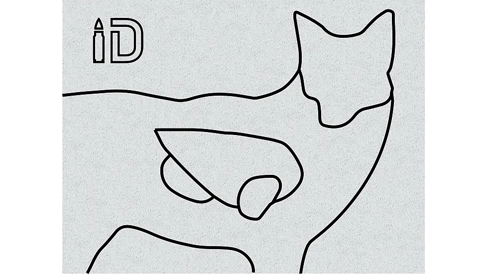 Infinite Defense Coyote Infinity Target