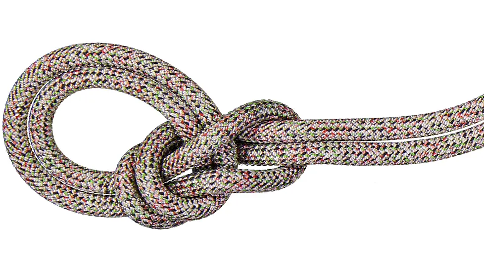 Mammut 9.5 Crag We Care Classic Rope
