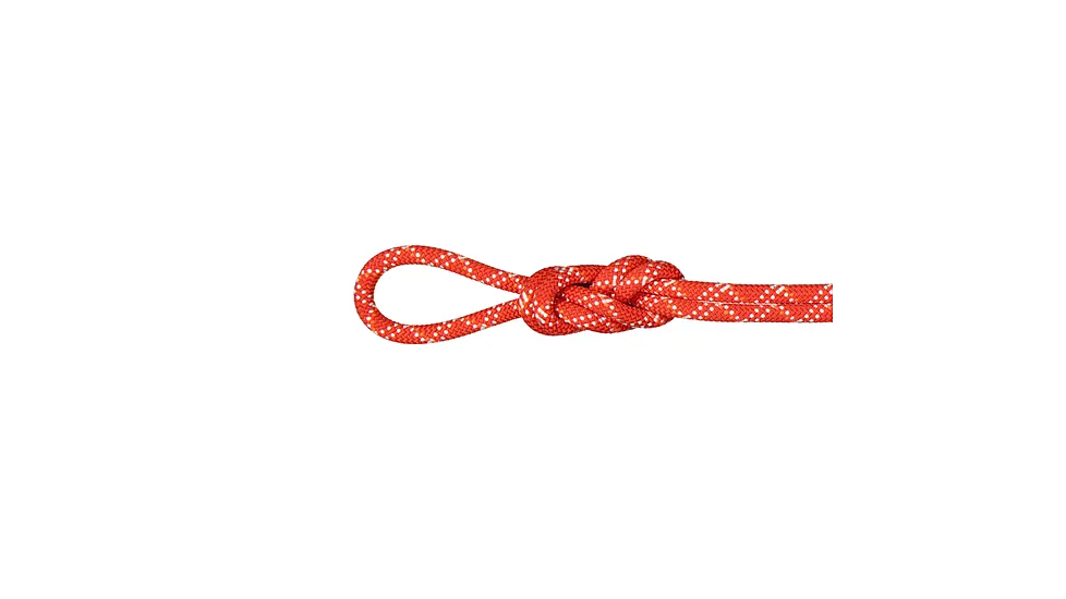 Mammut 9.5 Gym Classic Rope