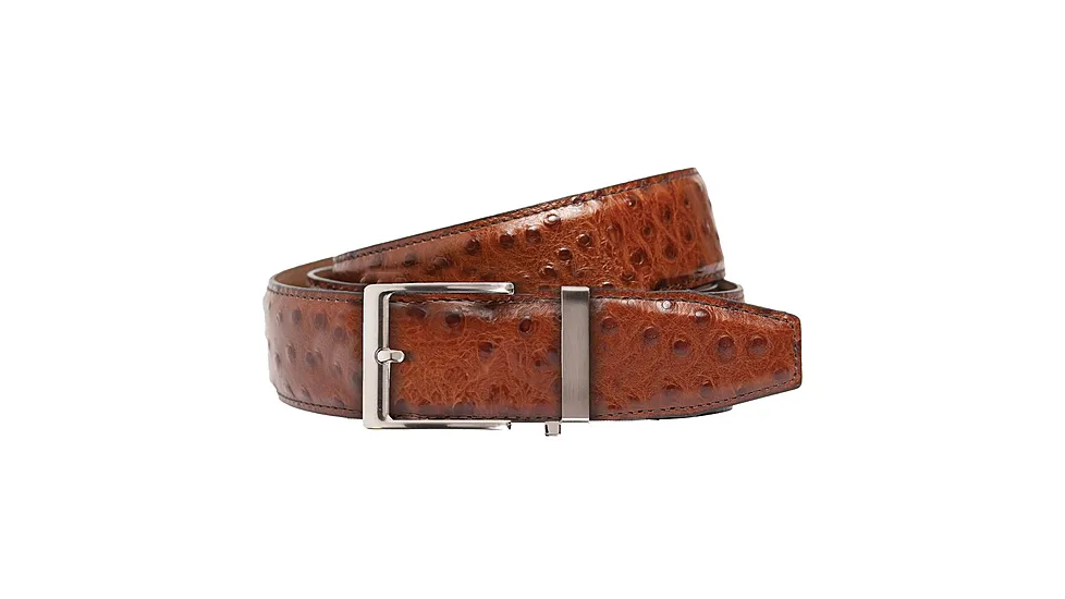 Nexbelt Ostrich Belt