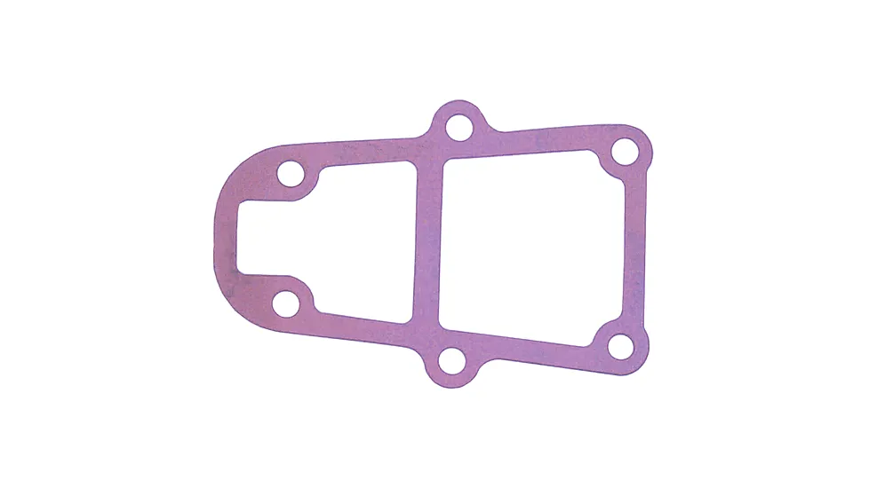 Sierra International Shift Rod Gasket
