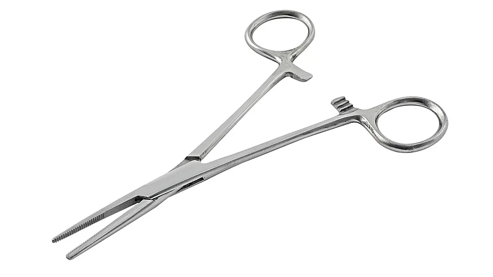 South Bend Stainless Steel Forceps 437617
