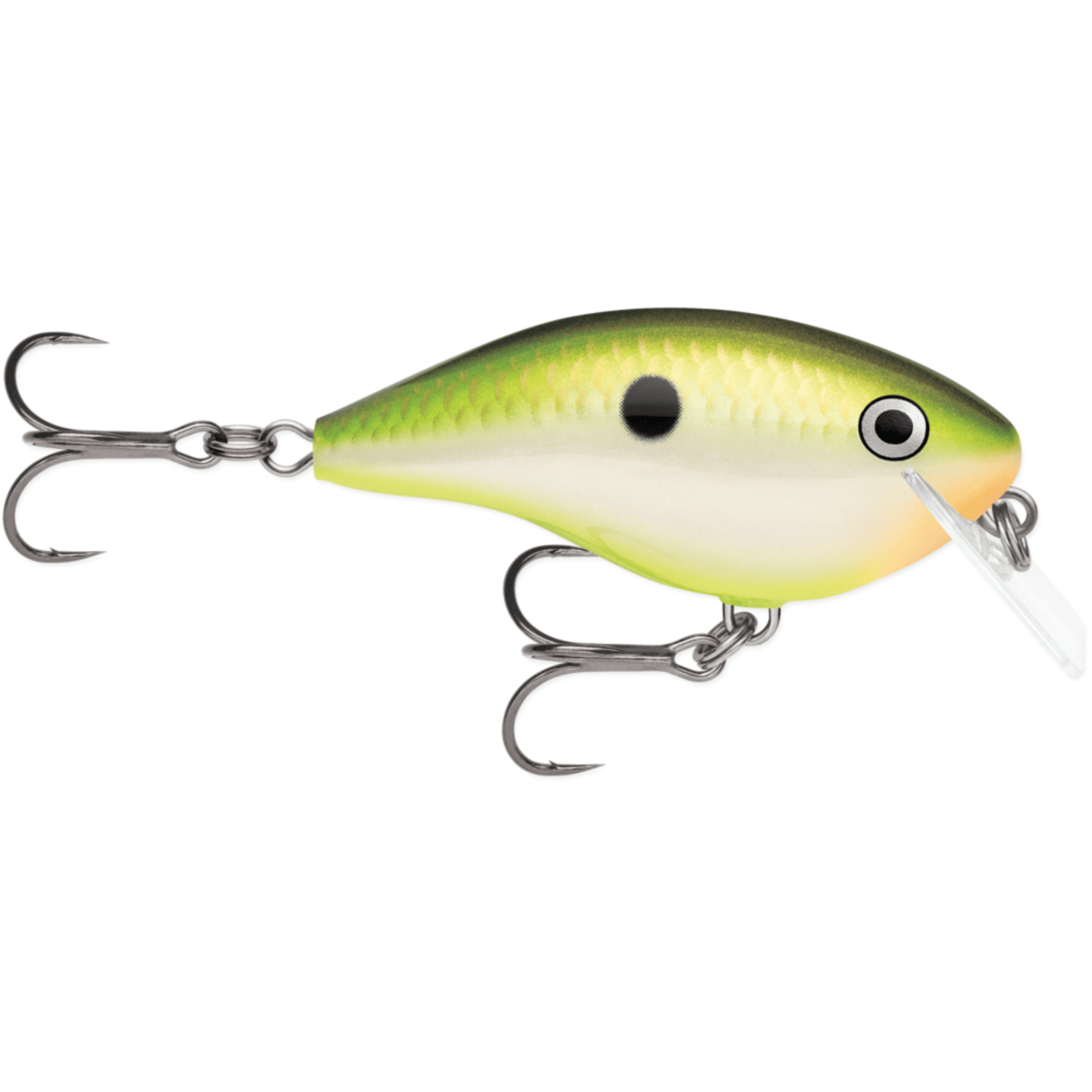 Rapala OG Big Rocco 6 Crankbait - 5/8 oz. Bruised Citrus Shad