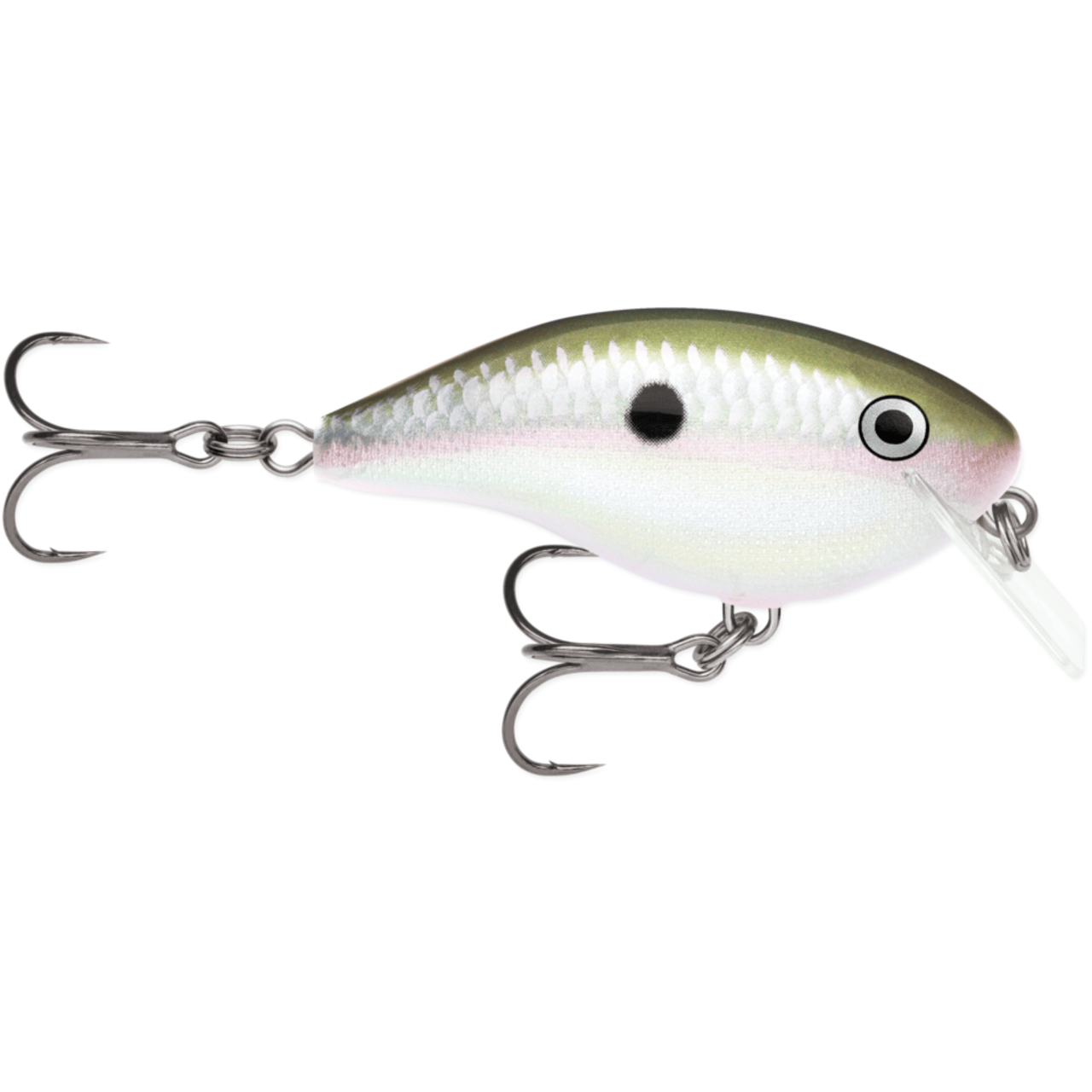 Rapala OG Big Rocco 6 Crankbait - 5/8 oz. Green Gizzard Shad