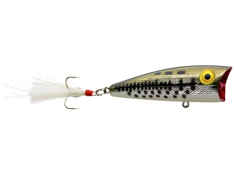 Rebel Pop-R Topwater Bait - 1/4 oz. 2.5" Ol Bass