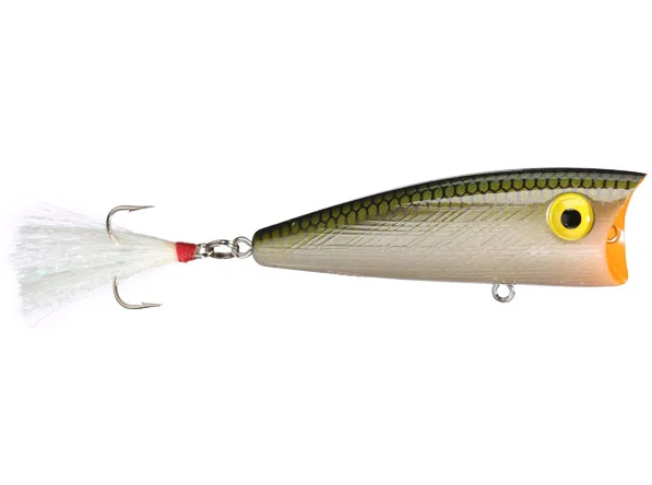 Rebel Pop-R Magnum Topwater Bait - 1/2 oz. 3" Tennessee Shad