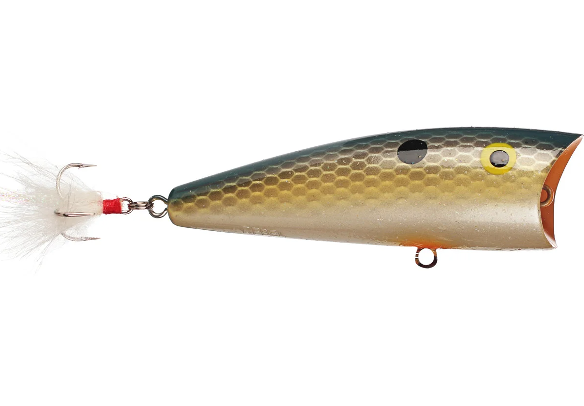 Rebel Pop-R Topwater Bait - 1/4 oz. 2.5" Foxy Shad