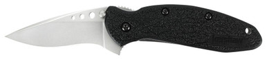 Kershaw Scallion Knife Black-Stainless