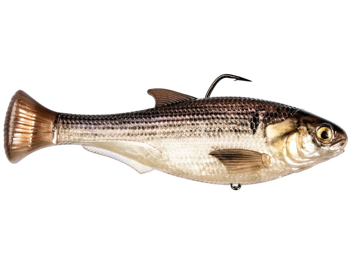 Z-Man Shadtron Lt Slow Sink Swimbait - 4.5" Gizzard Shad