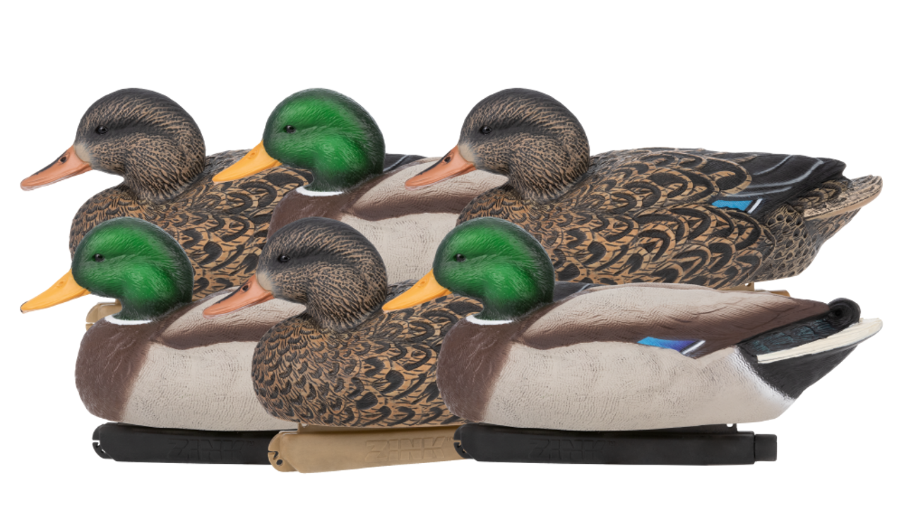 Zink Floater Decoys - Mallards 6 Pack