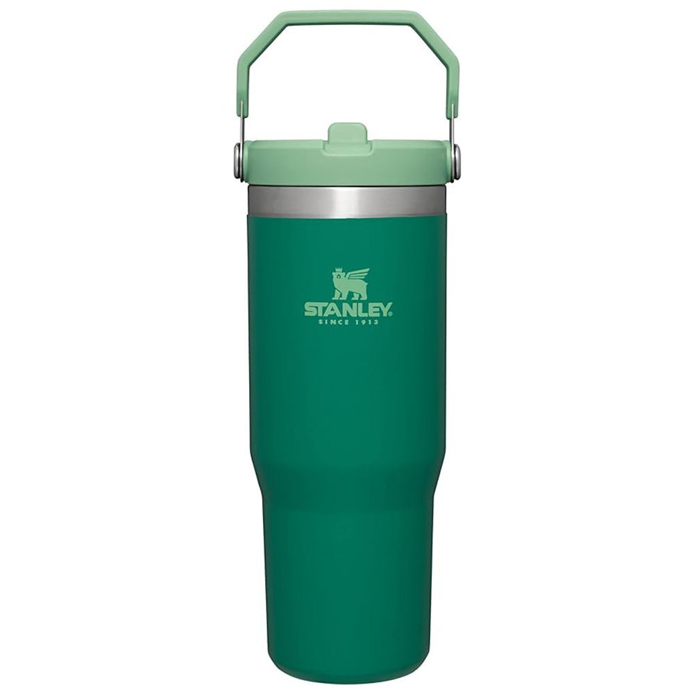 Stanley IceFlow Flip Straw Vacuum Insulated Stainless Steel Tumbler