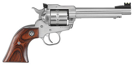 Ruger 8100 Single-Ten  22LR 5.50" 10Rd Stainless 8100