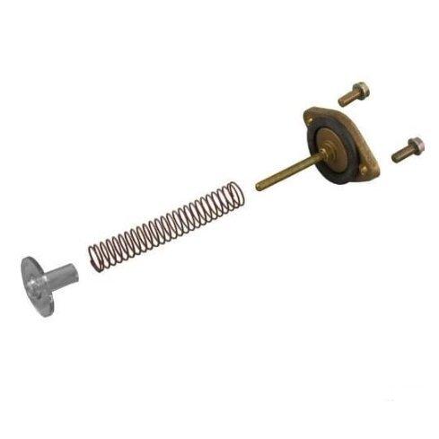 Jandy - Bypass Assembly, Bronze for Legacy 325